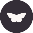 Black butterfly top clothing reviews